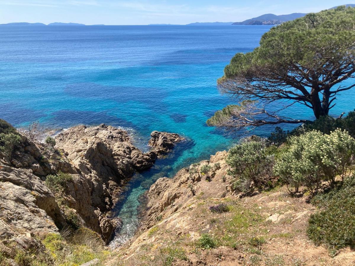 Le Petit Vue Mer La Croix-Valmer Exteriör bild